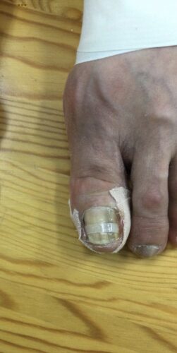 1847644e-c6cf-4905-99a6-d76d5c25cfe4