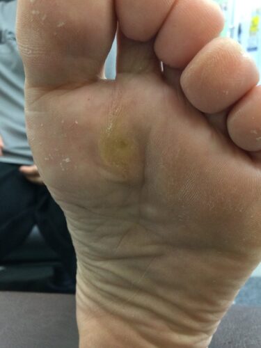 f8697615-9d8a-4d4c-90da-8464306af700