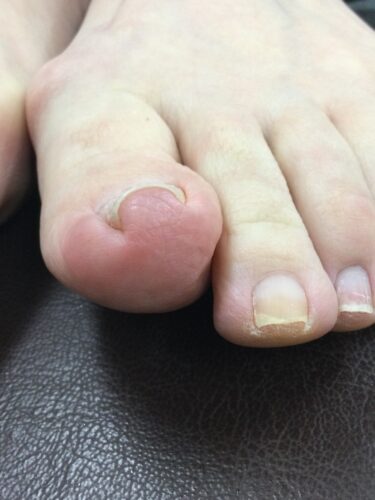 6e7b294d-169e-4f5c-9a4d-ef82b97d6770