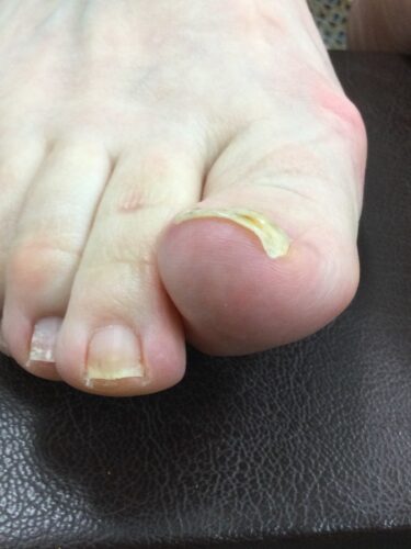 94027786-58f1-4399-8401-9a2cb8e2d38d