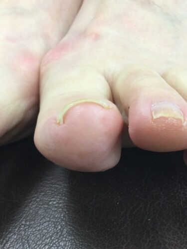 f9191850-fc3e-4c64-9c9e-cfec7c574022