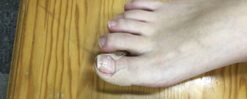 034aa46f-c6a2-4e03-8c90-eada955d046c