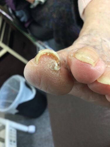 5a88748e-b04a-4708-86b8-18a6930e9adc