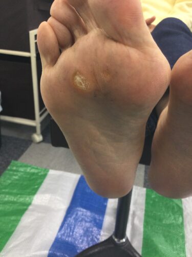 781fd91e-7166-4f0b-a3a9-864067b30473