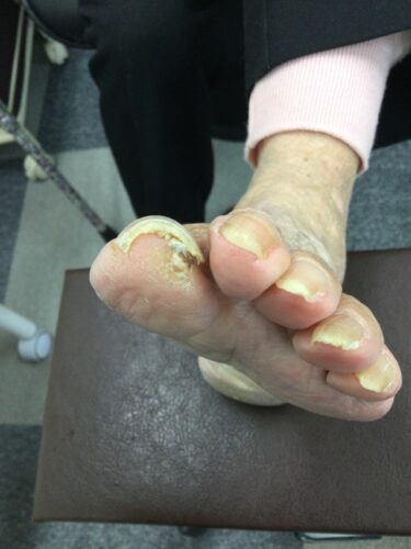 88a3c562-eef7-4f75-9467-aa744eb70e69