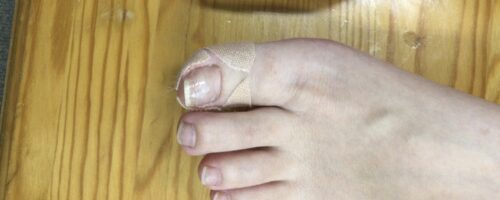 e6d025e2-19a2-4ca2-a124-ad77b5e963a1