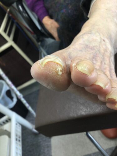 f06b6b43-69bc-45b8-96b6-7321f60a2968