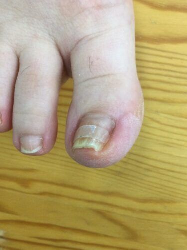 6e71186a-0f05-4099-8293-b9f3180a1f92